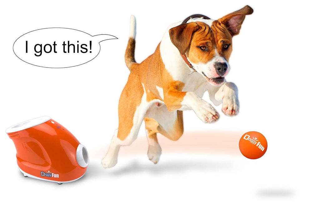Doggy Fun Automatic Ball Launcher - 3 Mini Ball Ø 1,5" DOGGY FUN - Stokkisti In Brescia
