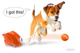 Doggy Fun Automatic Ball Launcher - 3 Mini Ball Ø 1,5" DOGGY FUN - Stokkisti In Brescia