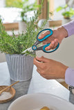 Forbici per Erbe Aromatiche Gardena HerbCut 12214-20