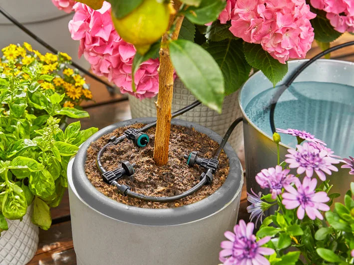 GARDENA AquaBloom: Set di Irrigazione Solare per Balconi e Terrazzi - Art. 13300-20 Gardena