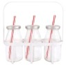 Esschert Design Set 3 Barattoli in Vetro con Manico, Tappo e Cannuccia – Dispenser per Bevande con Supporto in Metallo Esschert Design