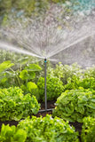 Micro-Drip-System Start Set per Orti e Aiuole 40 m² 13450-20
