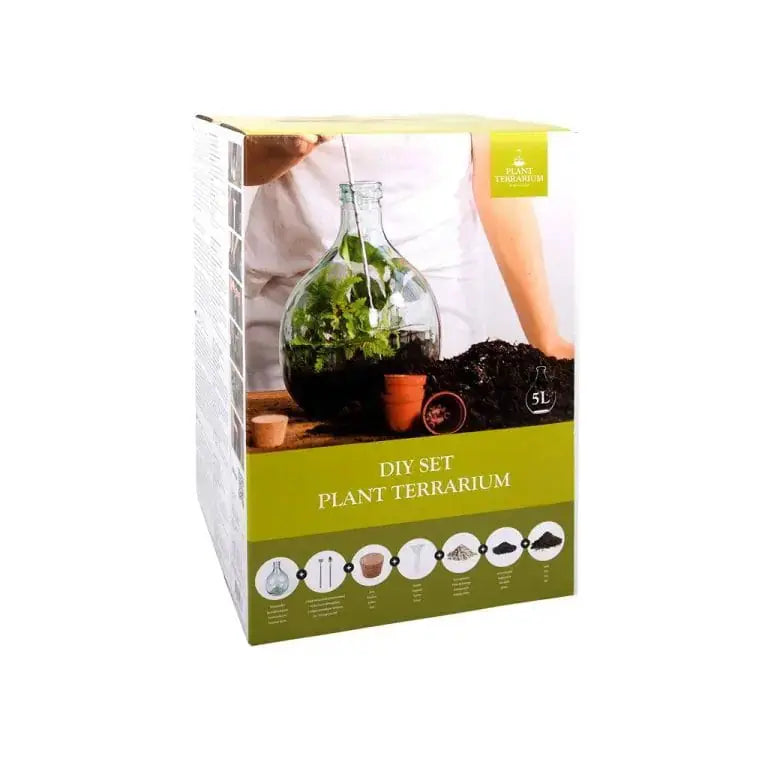 Set per terrario da 5 litri completo di attrezzi, terriccio, pietre e carbone attivo. Bavicchi