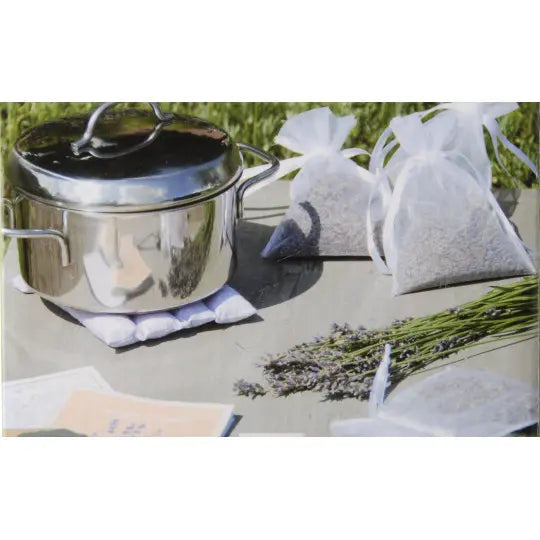 Kit per la semina della lavanda Kit Fai da te per casa giardino Stokkisti In Brescia