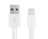 Avidsen Cavo Dati Flat Lightning per Dispositivi Apple - 103233 (100 x 1.5 x 0.5 cm)