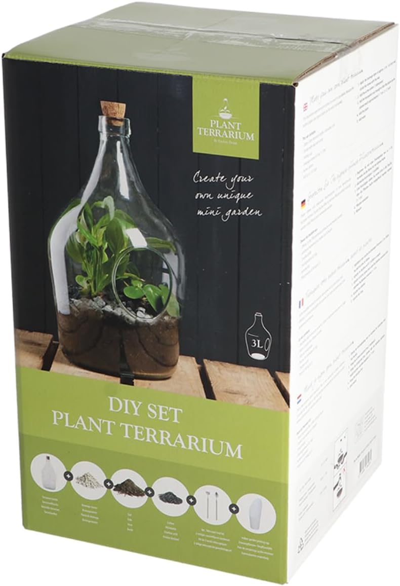 Esschert Design Terrario Aperto in Vetro – Vaso Decorativo per Composizioni Secche (Capacità 5 Litri) Esschert Design
