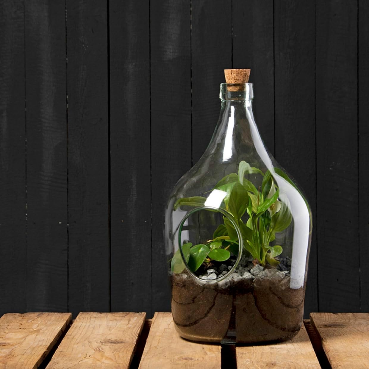 Esschert Design Terrario Aperto in Vetro – Vaso Decorativo per Composizioni Secche (Capacità 5 Litri) Esschert Design