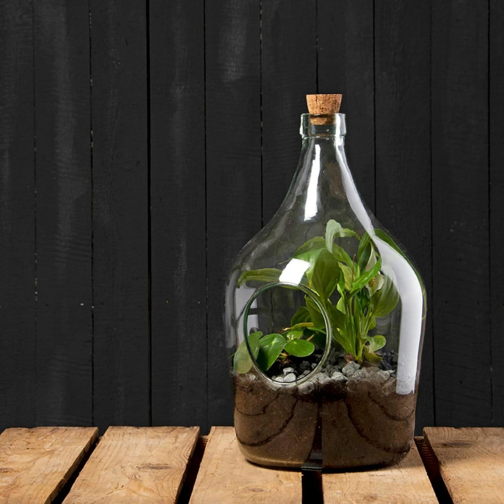 Esschert Design Terrario Aperto in Vetro – Vaso Decorativo per Composizioni Secche (Capacità 5 Litri) Esschert Design