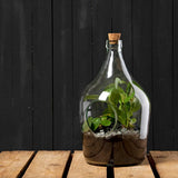 Esschert Design Terrario Aperto in Vetro – Vaso Decorativo per Composizioni Secche (Capacità 5 Litri) Esschert Design