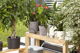 GARDENA Set Irrigazione per Piante in Vaso con Timer AquaBloom / Irrigazione Automatica - 1266-20