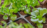 GARDENA Micro-Drip-System Raccordo a Croce 4,6 mm (3/16") 10 Pezzi - 1334-29