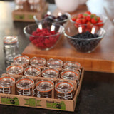 Esschert Design Set 12 Barattoli in Vetro Piccoli (Taglia S) con Tappo a Chiusura Flip-Top/Meccanica Esschert Design