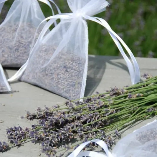 Kit per la semina della lavanda Kit Fai da te per casa giardino Stokkisti In Brescia